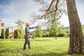 Reliable Fletcher, NC Tree Services Solutions